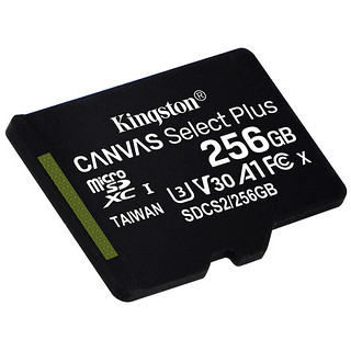 Kingston 金士顿 SDCS2系列 Micro-SD存储卡 256GB（UHS-I、V30、U3、A1）