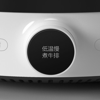 MIJIA 米家 DCL01CM 普通电磁炉+定制版炒锅 白色