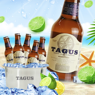 TAGUS 泰谷 黄啤酒