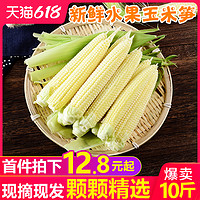 甘福园 新鲜甜玉米笋10斤小玉米芯仔蔬菜迷你嫩玉米棒水果玉米批发5包邮