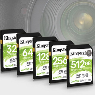 Kingston 金士顿 SDS2系列 SD存储卡 512GB (UHS-I、V30、U3)