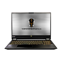 TERRANS FORCE 未来人类 T5X 15.6英寸 游戏本 黑色(酷睿i7-9750H、GTX 1660Ti 6G、16GB、512GB SSD+1TB HDD、4K、T5X-1660TI-97SH2)