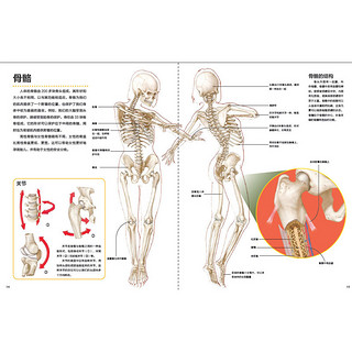 《万物运转的秘密·人体》