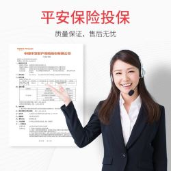 PEPSI 百事 pepsi)车载冰箱 20L车家两用迷你小冰箱小型家用学生宿舍办公室冷藏冷暖箱 单核 BS-B20