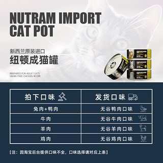 纽顿 成猫罐头 鸭肉 90g