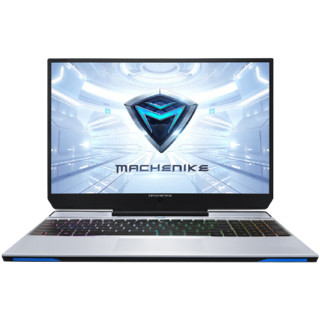 MACHENIKE 机械师 战空 F117-V 15.6英寸 游戏本 灰色(酷睿i7-10750H、GTX 1650Ti 4G、8GB、512GB SSD、1080P、IPS)