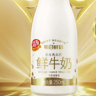 SHINY MEADOW 每日鲜语 鲜牛奶 250ml