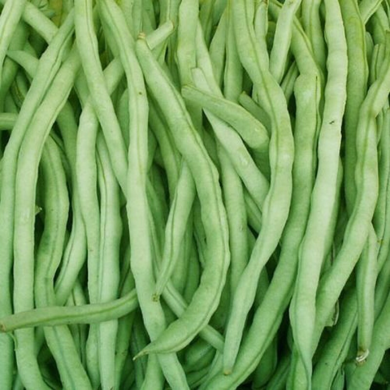 干煸四季豆