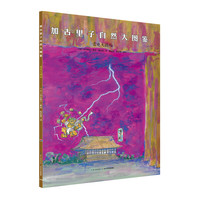 《加古里子自然大图鉴·雷电大揭秘》