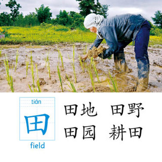 《撕不烂早教卡·看图识字》（礼盒装）