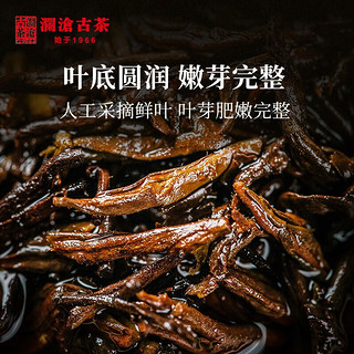 澜沧古茶 2020年0081云南普洱茶熟茶357g饼茶 1片