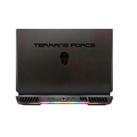 TERRANS FORCE 未来人类 X7200 11代酷睿版 17.3英寸 笔记本 黑色 (酷睿i7-11700KF、RTX 3070 8G、16GB、1TB SSD、1080P、300Hz)