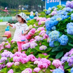 【成都新都区】新都漫花庄园，亲子赏花游乐套票，游乐场14个项目可玩