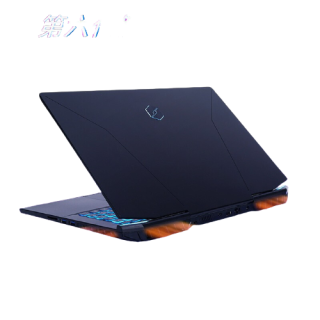 MECHREVO 机械革命 钛钽 PLUS 17.3英寸 游戏本 黑色(酷睿i9-11900H、 RTX 3080 16G、32GB、1TB SS、2K、165H)