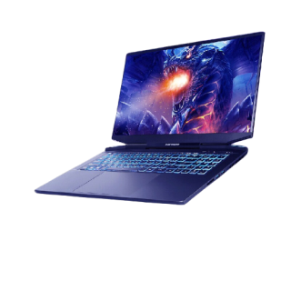 MECHREVO 机械革命 钛钽 PLUS 17.3英寸 游戏本 黑色(酷睿i9-11900H、 RTX 3080 16G、32GB、1TB SS、2K、165H)