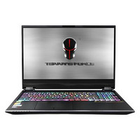 TERRANS FORCE 未来人类 X511 游戏本 黑色(酷睿i7-10875H、RTX 2070、32GB、1TB SSD、1080P、144Hz、27X8S1)