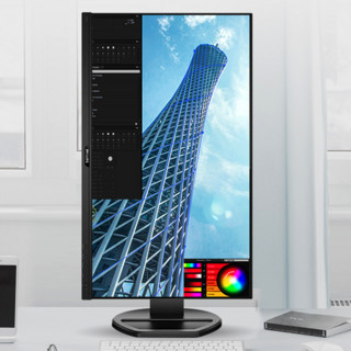 PHILIPS 飞利浦 245E1S 23.8英寸 IPS 显示器 (2560×1440、75Hz、114%sRGB)