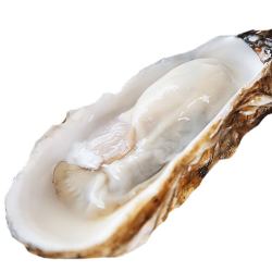 WECOOK SEAFOOD 味库海鲜 乳山生蚝 鲜活 XXXL大号11-15只 净重2kg