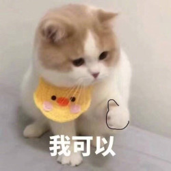 母婴必买单品来了！内含全平台必领好券
