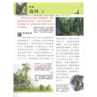 《新视野学习百科·37：植物的群落》（大字版）