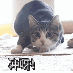 京东&天猫超级红包倒计时 叠加红包“0元”起购