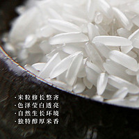 谷子皇 柬埔寨香米5kg 茉莉香米长粒新大米10斤