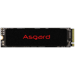 Asgard 阿斯加特 NVMe M.2 固态硬盘 2TB（PCI-E3.0）