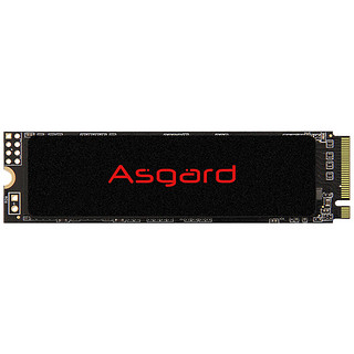 Asgard 阿斯加特 AN2 NVMe M.2 固态硬盘 2TB（PCI-E3.0）