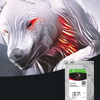 SEAGATE 希捷 酷狼IronWolf系列 3.5英寸 NAS硬盘 4TB (PMR、5900rpm、64MB) ST4000VN008