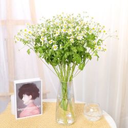 FlowerPlus 花加 洋甘菊水养鲜花昆明产地直发 洋甘菊8-10支