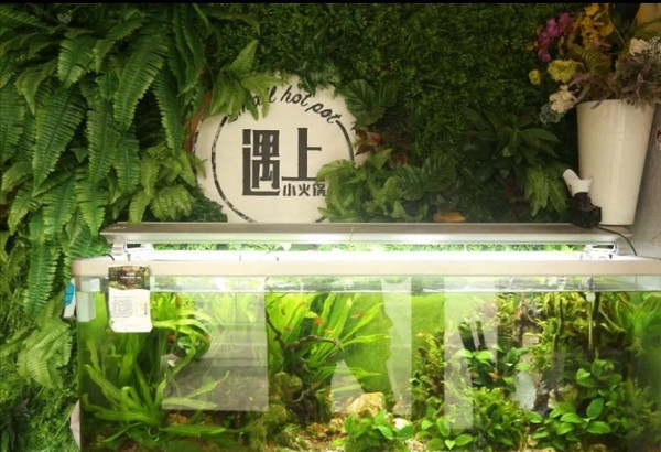 杭州遇上烤肉小火锅,在烈日炎炎的夏季,享受滋滋烤肉的美味!