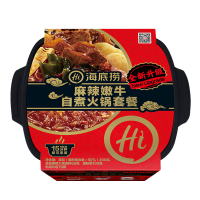 海底捞 自热火锅 麻辣嫩牛  435g
