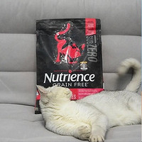 PLUS会员：Hagen Nutrience 哈根纽翠斯 黑钻·红肉全猫粮 11磅