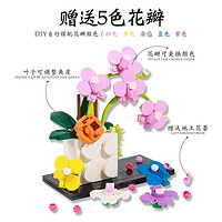 HUIQIBAO TOYS 汇奇宝 花束永生花拼装模型  积木花-蝴蝶兰 搭配五色花瓣