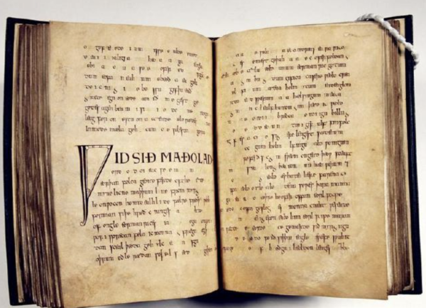 拉丁文介绍 解释 什么意思 什么值得买