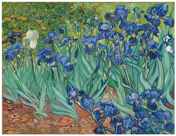 buybuyart买买艺术梵高鸢尾花5040cm装饰画美术纸