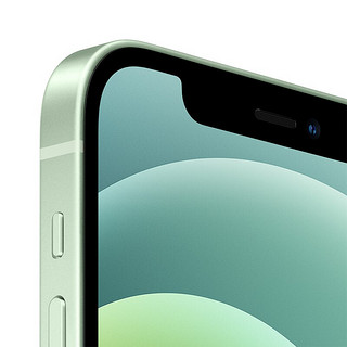 Apple 苹果 iPhone 12系列 A2404 5G手机 256GB 绿色