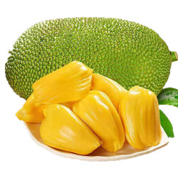 享味观 海南黄肉菠萝蜜  18~22斤