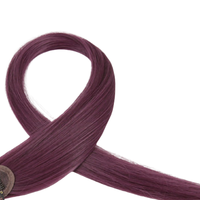 Sankins 尚青丝 哑光高温丝彩色单夹式接发片 长款 #15薄梅紫