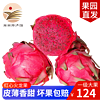 海南特产红心火龙果金都一号5斤/10斤简装 新鲜水果现摘现发 10斤大果（8-11个）