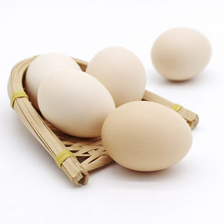 亨泰丰源（HENGTAIFENGYUAN） 新鲜柴鸡蛋10枚/盒 农家散养土鸡蛋 新鲜谷物柴鸡蛋