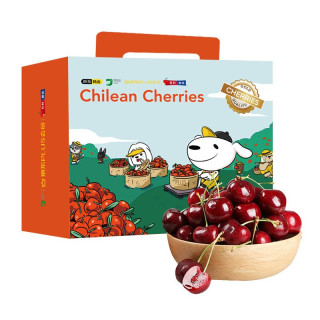 京鲜生 现货2J级智利车厘子 净重5斤 礼盒装