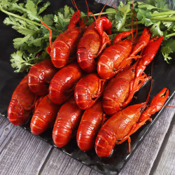 lexy莱克麻辣小龙虾700g