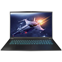 火影 T7A 17.3英寸 游戏本 银色(锐龙R7-4800H、RTX 3060 6G、8GB、128GB SSD、1080P、IPS、144Hz）