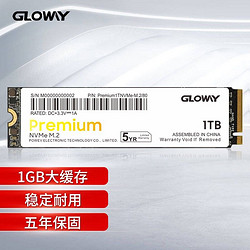 GW 光威 Gloway）1TB SSD固态硬盘 M.2接口(NVMe协议) Premium系列-高级版/五年质保
