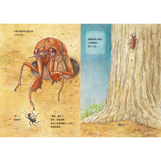 《藏在故事里的昆虫课·蚂蚁小苹果》