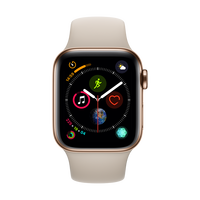 Apple 苹果 Watch Series 4 智能手表 40mm GPS+蜂窝网络 金色不锈钢表壳 岩石色运动型表带（GPS）