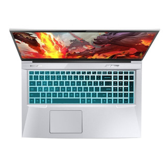 MECHREVO 机械革命 深海泰坦 X8 Pro 11代酷睿版 17.3英寸 游戏本 银色 (酷睿i7-11800、RTX 3060 6G、8GB、512GB SSD、1080P、IPS、144Hz)