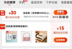 京东商城两张300-15全品类券（附建议）