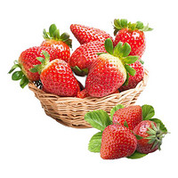 田园居 天仙醉奶油草莓 中大果 1.5kg
